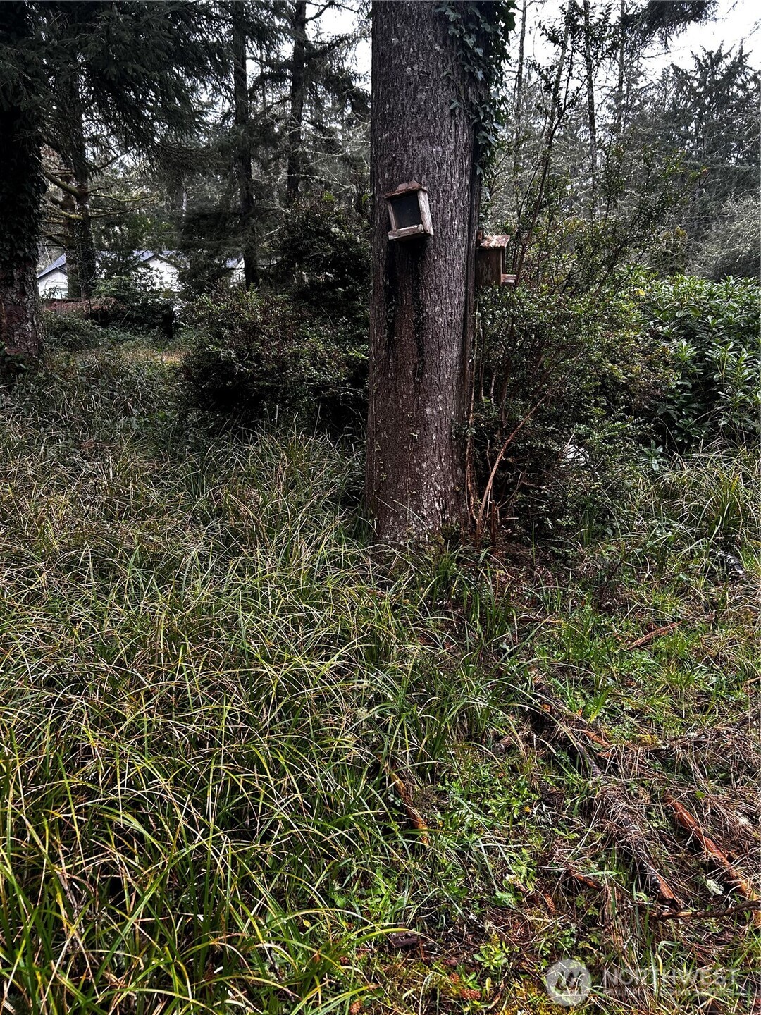 379 Eridani Loop SE, Ocean Shores, WA 98569-9779