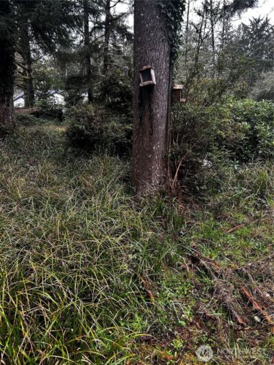 379 Eridani Loop SE, Ocean Shores, WA 98569-9779 - Photo 3