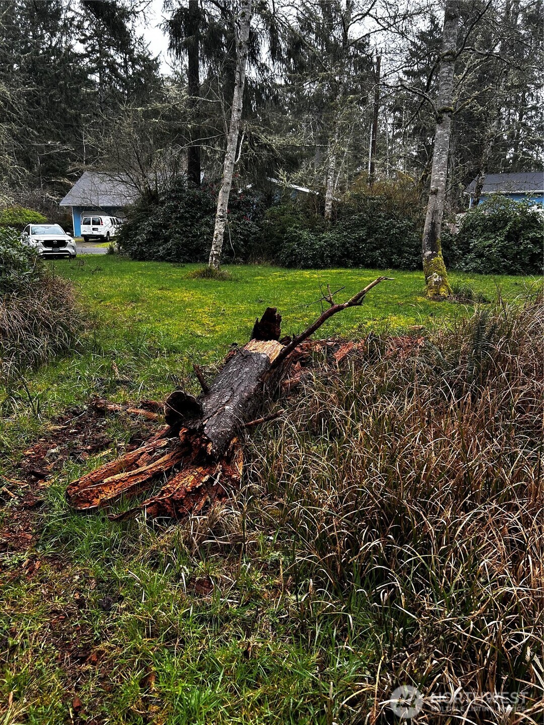 379 Eridani Loop SE, Ocean Shores, WA 98569-9779