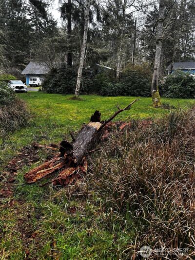 379 Eridani Loop SE, Ocean Shores, WA 98569-9779 - Photo 4