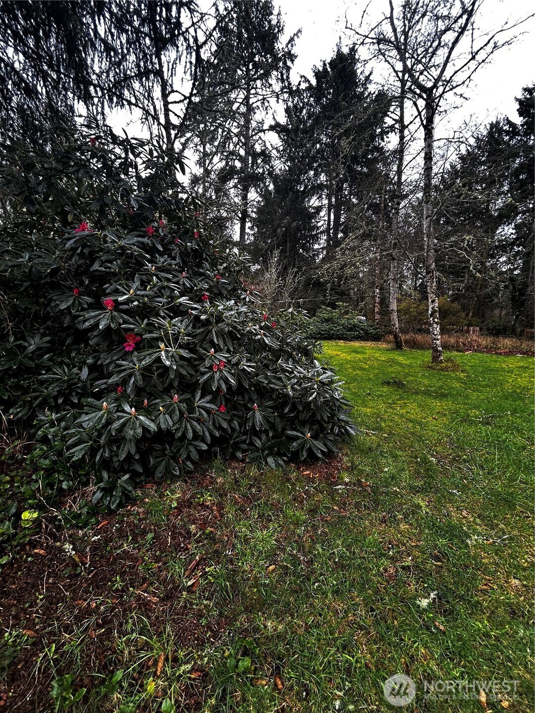 379 Eridani Loop SE, Ocean Shores, WA 98569-9779