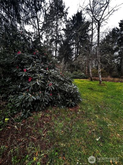 379 Eridani Loop SE, Ocean Shores, WA 98569-9779 - Photo 5