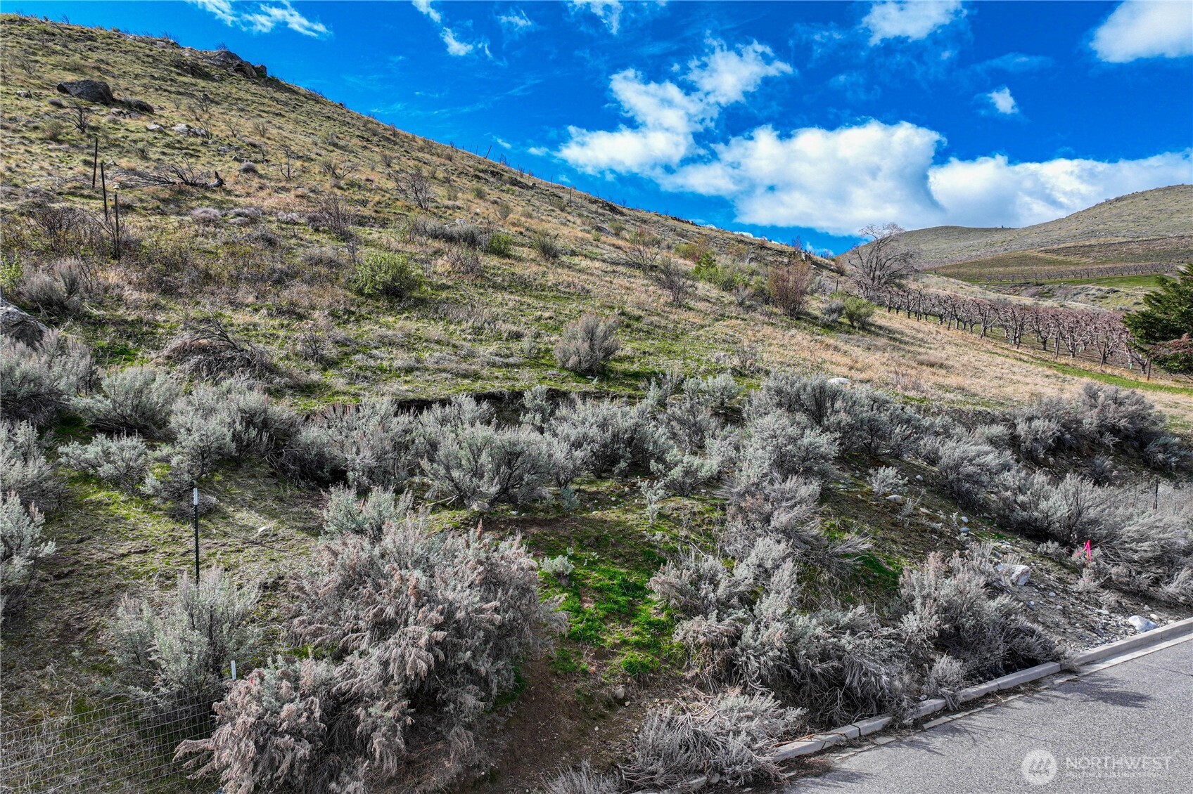 0 Lot 11 E Franklin Street , Chelan, WA 98816