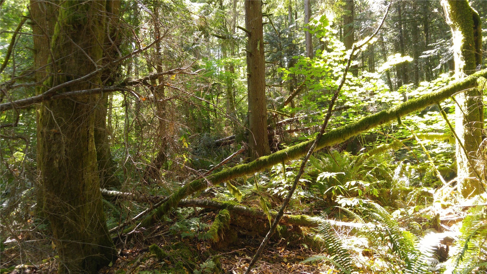 10 E Street , Bellingham, WA 98225