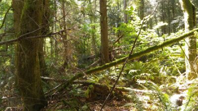 10 E Street , Bellingham, WA 98225 - Photo 5