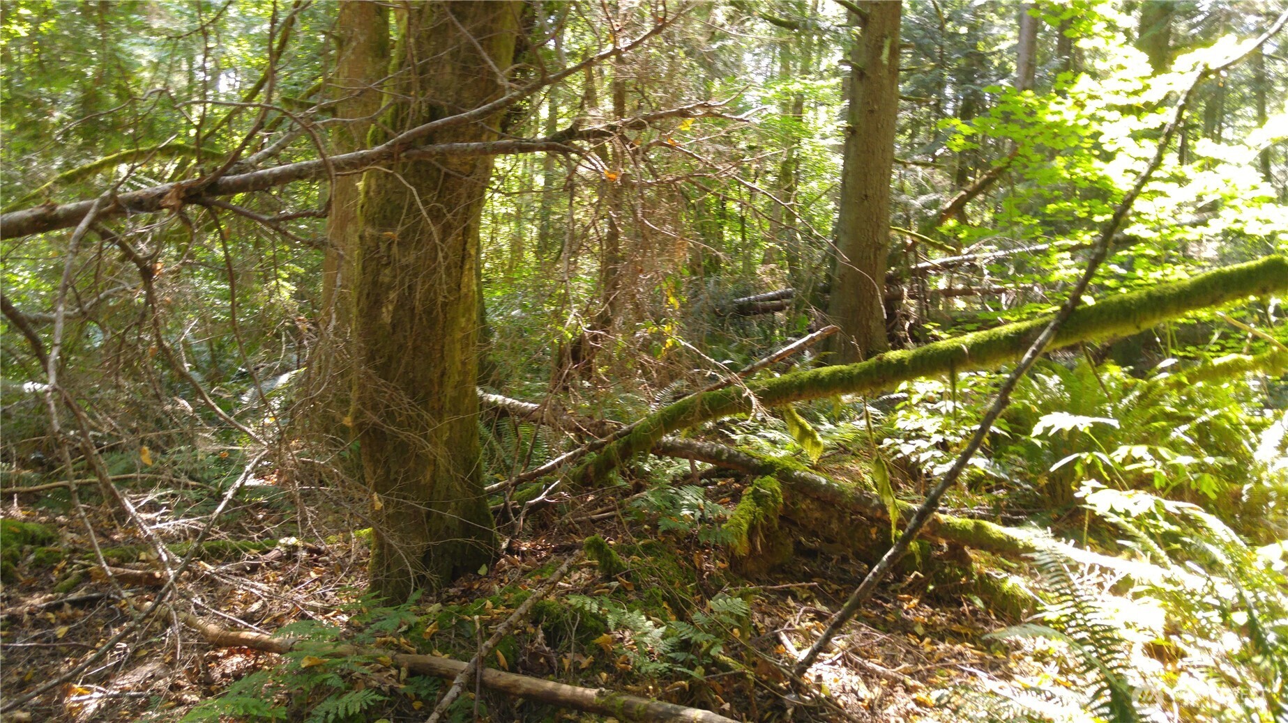 10 E Street , Bellingham, WA 98225