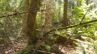 10 E Street , Bellingham, WA 98225 - Photo 6