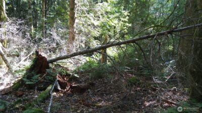 10 E Street , Bellingham, WA 98225 - Photo 7