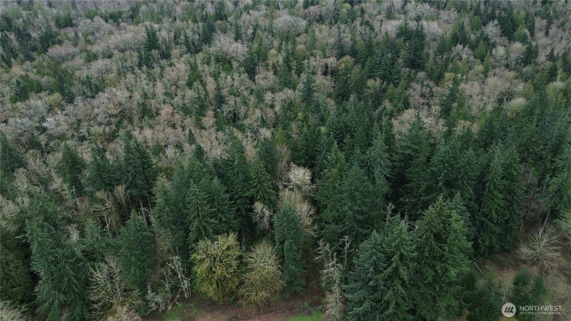 10 E Street , Bellingham, WA 98225