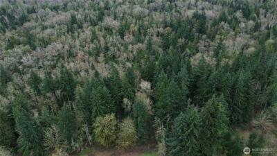 10 E Street , Bellingham, WA 98225 - Photo 8