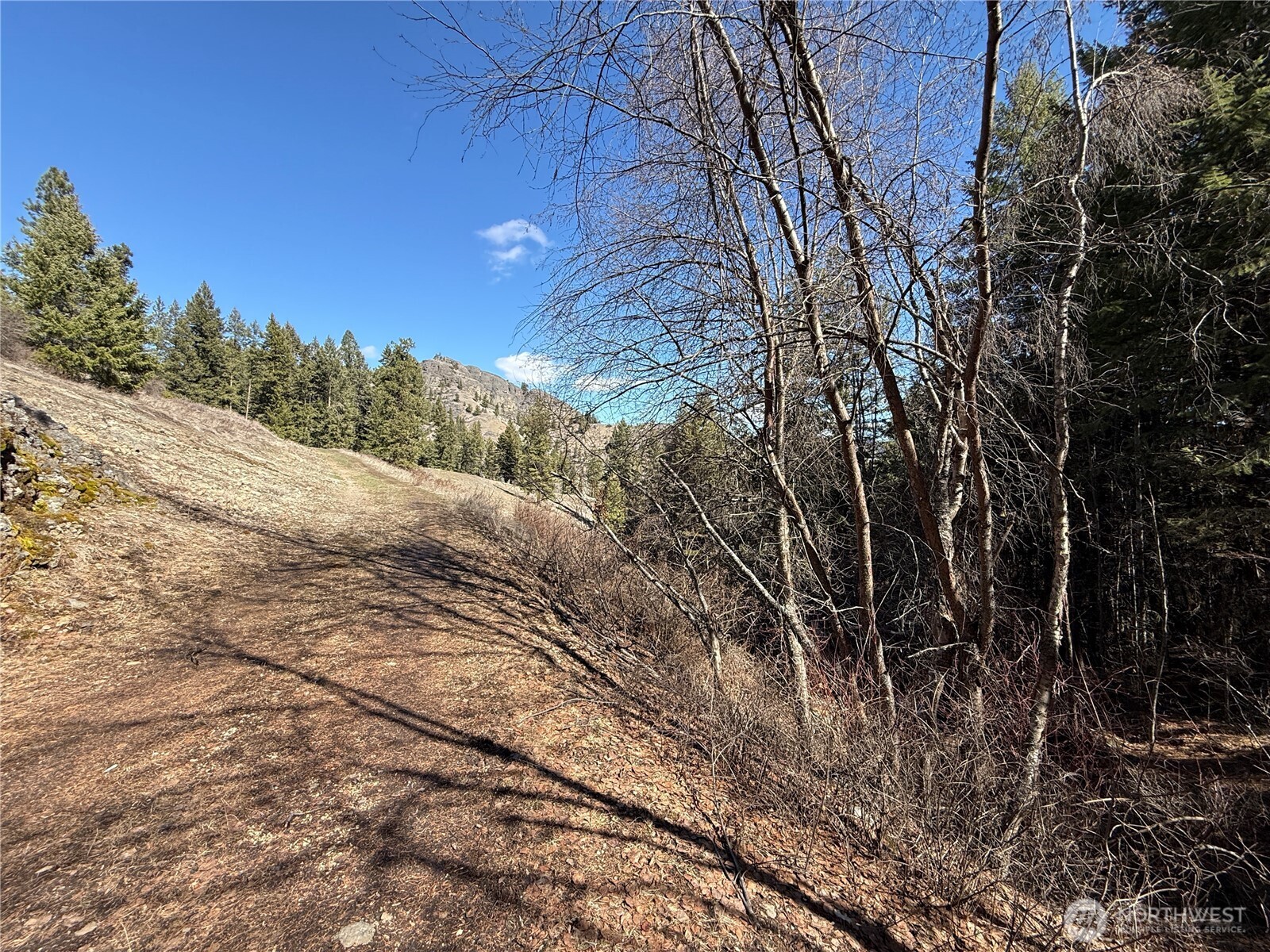 0 Coogan Creek Road , Wauconda, WA 98859