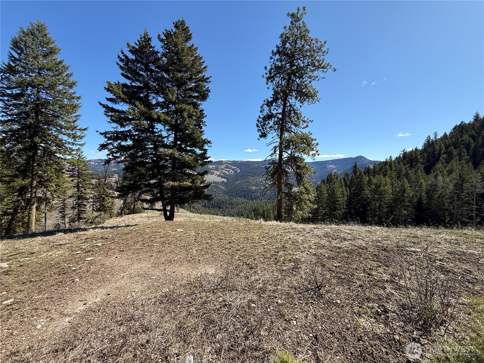 0 Coogan Creek Road , Wauconda, WA 98859