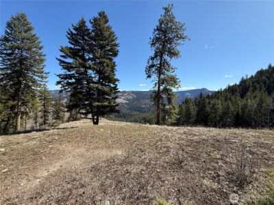 0 Coogan Creek Road , Wauconda, WA 98859 - Photo 11