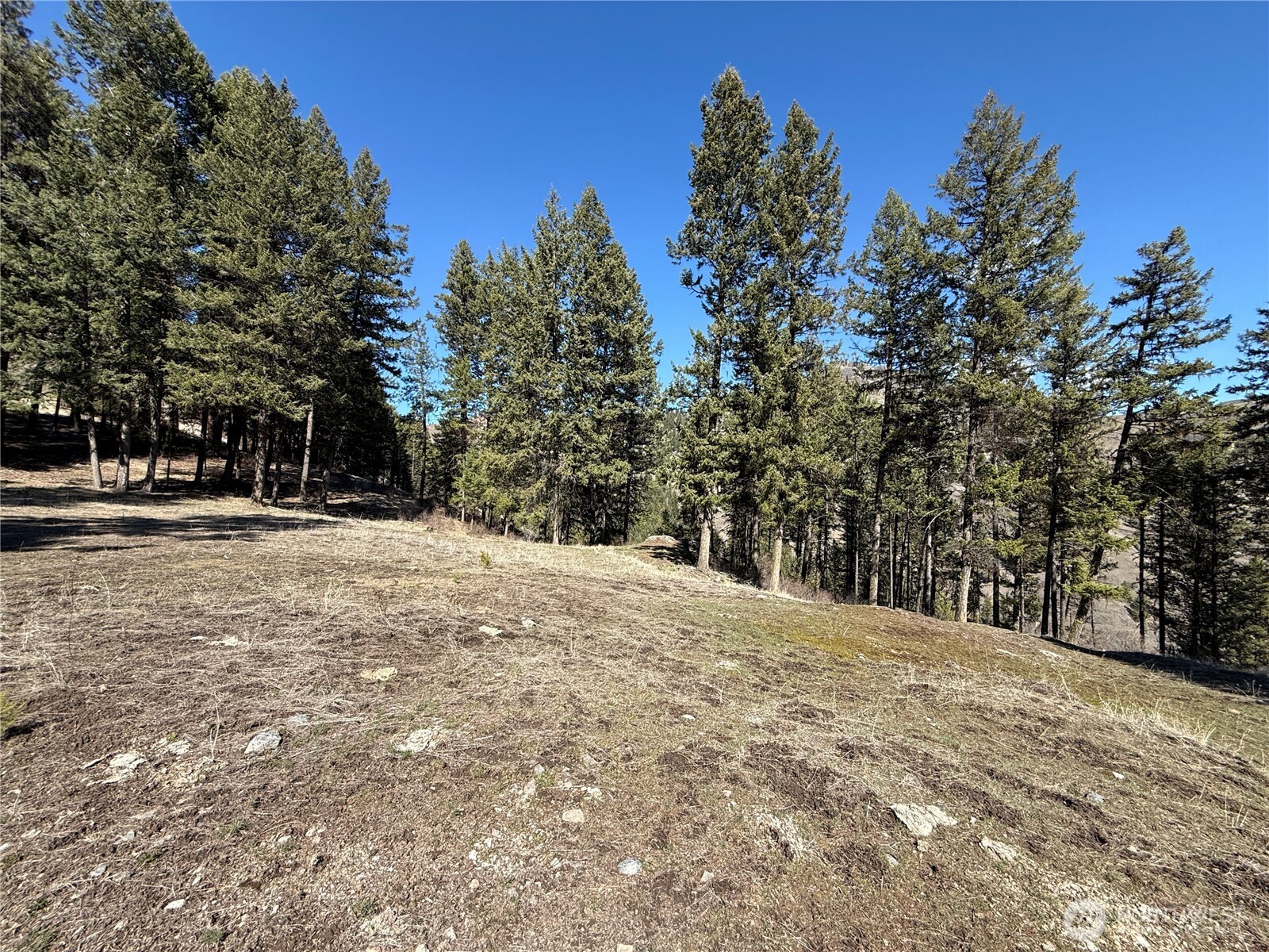 0 Coogan Creek Road , Wauconda, WA 98859