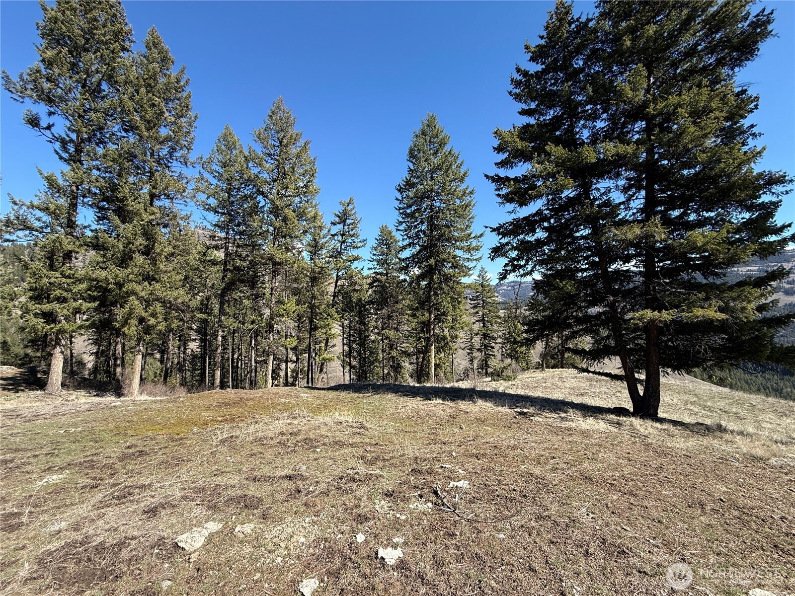 0 Coogan Creek Road , Wauconda, WA 98859