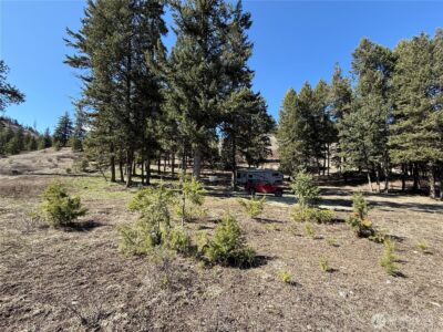 0 Coogan Creek Road , Wauconda, WA 98859 - Photo 14