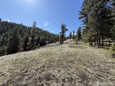 0 Coogan Creek Road , Wauconda, WA 98859 - Photo 15