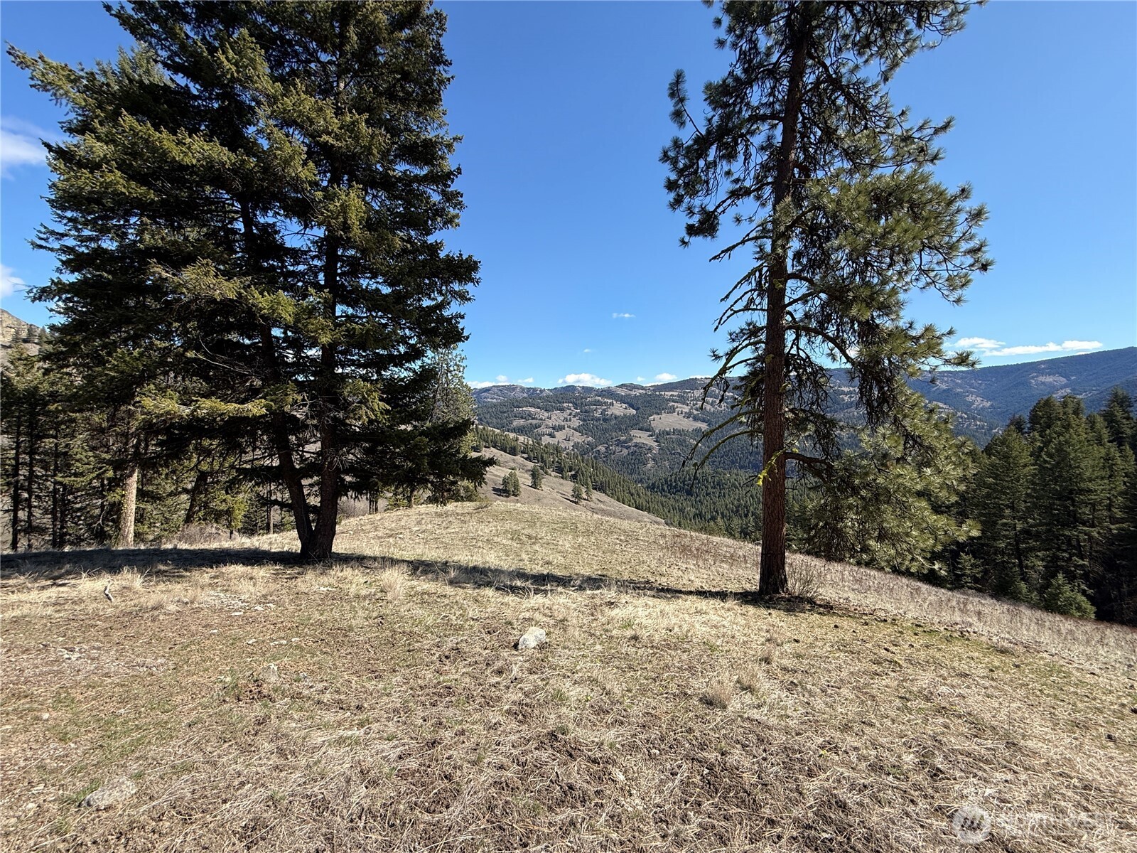 0 Coogan Creek Road , Wauconda, WA 98859