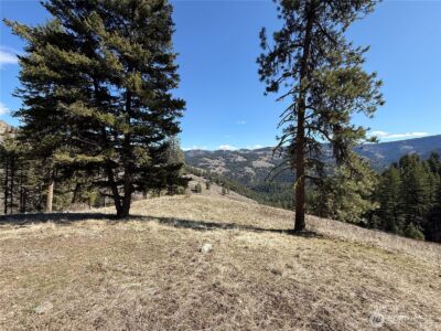 0 Coogan Creek Road , Wauconda, WA 98859 - Photo 16