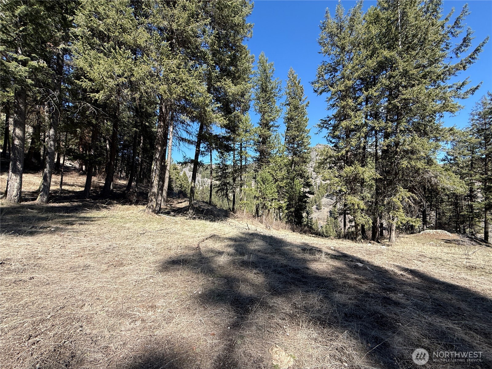 0 Coogan Creek Road , Wauconda, WA 98859