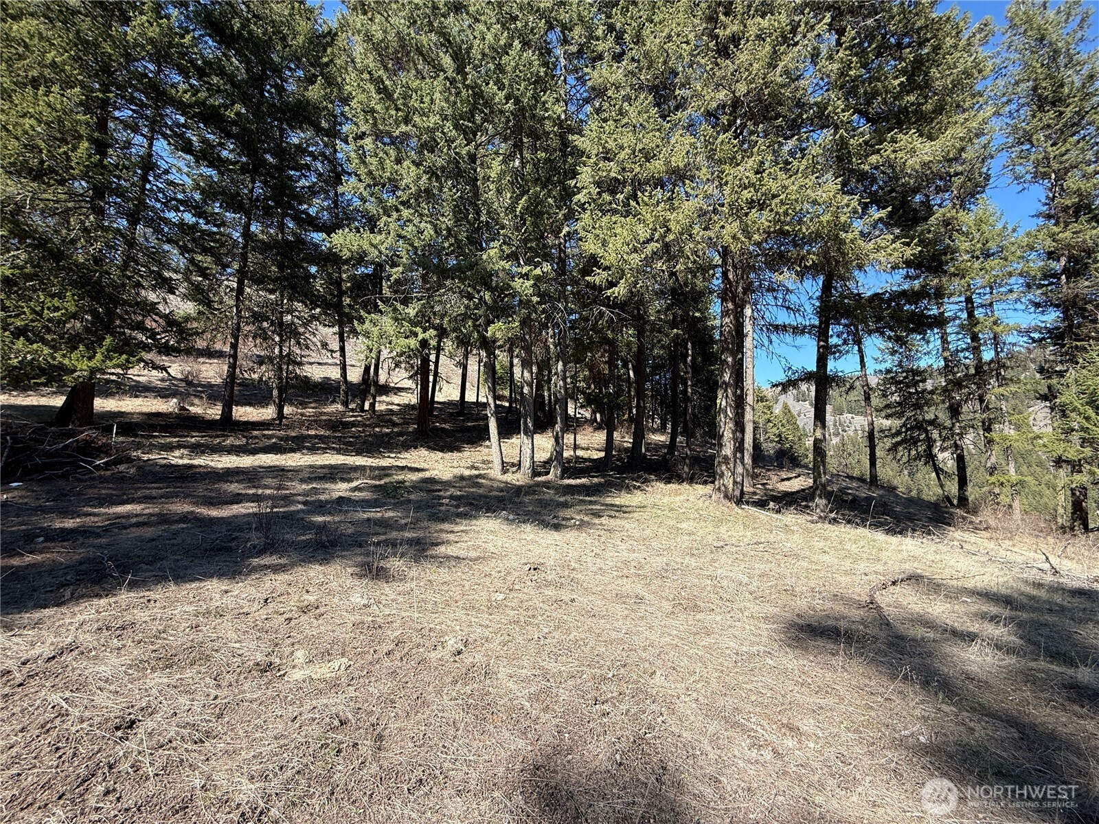 0 Coogan Creek Road , Wauconda, WA 98859