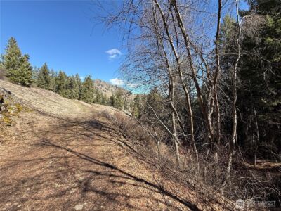 0 Coogan Creek Road , Wauconda, WA 98859 - Photo 2