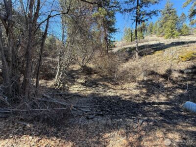 0 Coogan Creek Road , Wauconda, WA 98859 - Photo 3