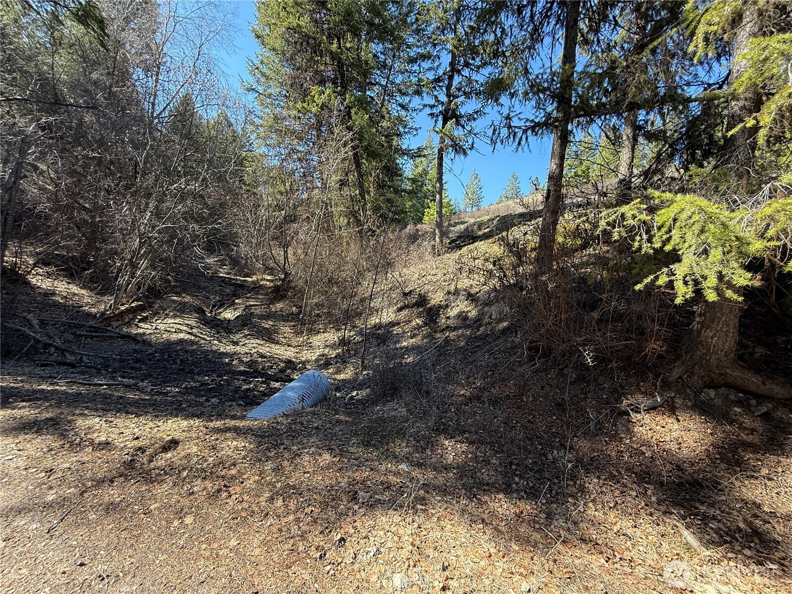 0 Coogan Creek Road , Wauconda, WA 98859