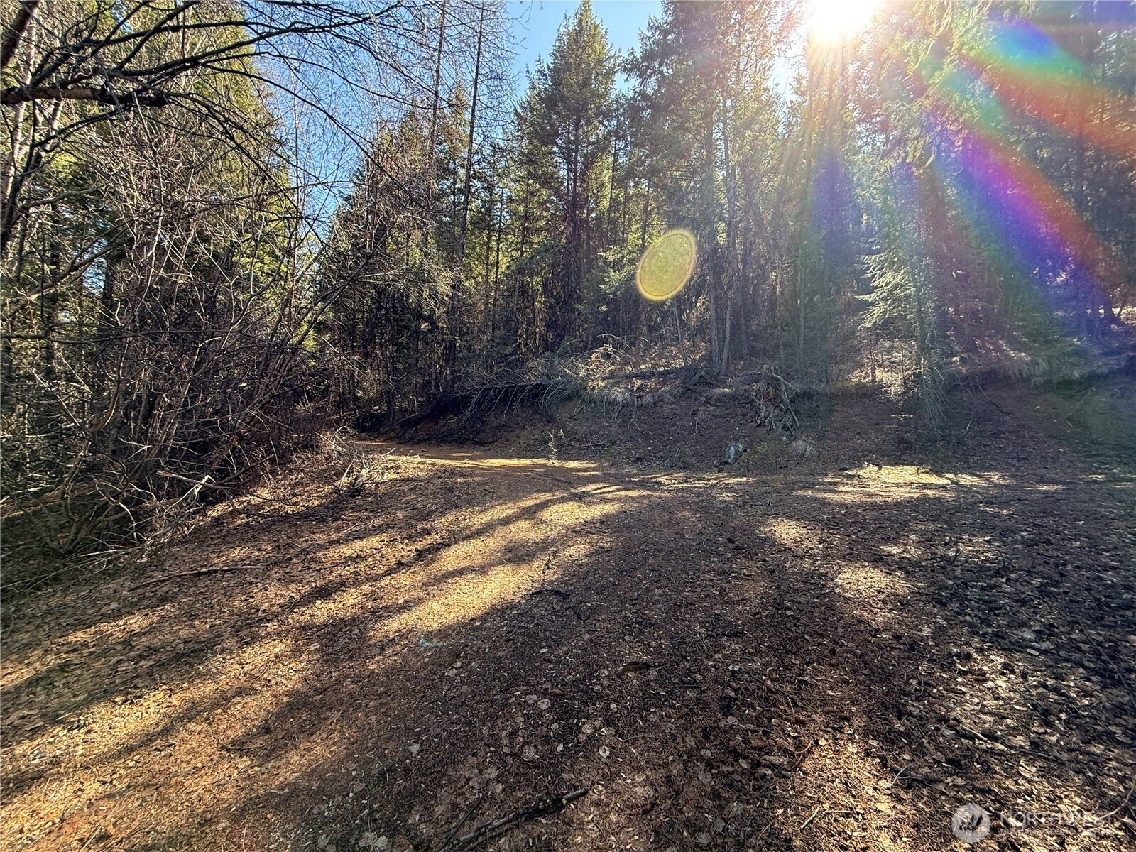 0 Coogan Creek Road , Wauconda, WA 98859