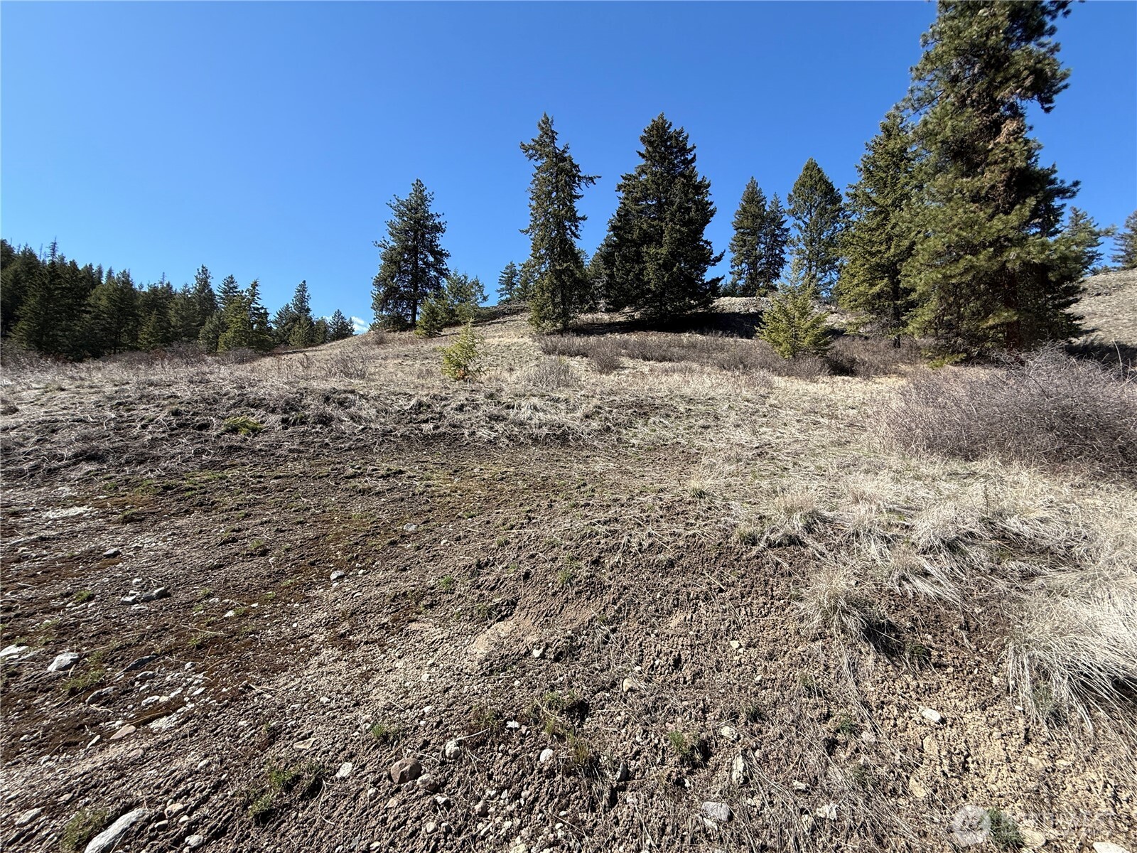 0 Coogan Creek Road , Wauconda, WA 98859