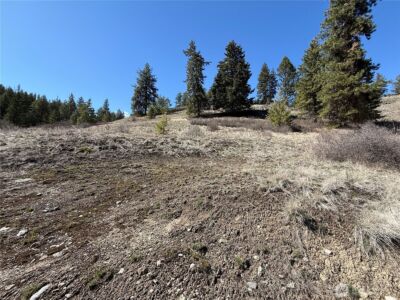 0 Coogan Creek Road , Wauconda, WA 98859 - Photo 7