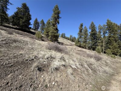 0 Coogan Creek Road , Wauconda, WA 98859 - Photo 8