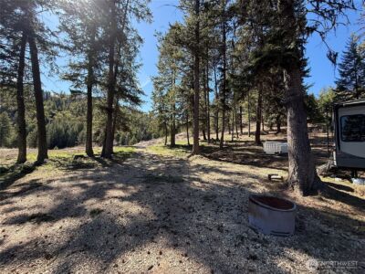 0 Coogan Creek Road , Wauconda, WA 98859 - Photo 9