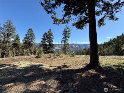 0 Coogan Creek Road , Wauconda, WA 98859 - Photo 10