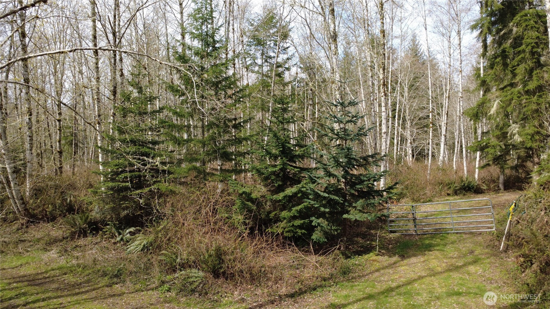 0 Blacktail Court , Quilcene, WA 98376