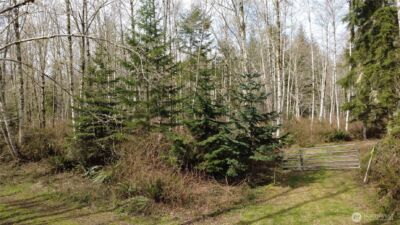 0 Blacktail Court , Quilcene, WA 98376 - Photo 1