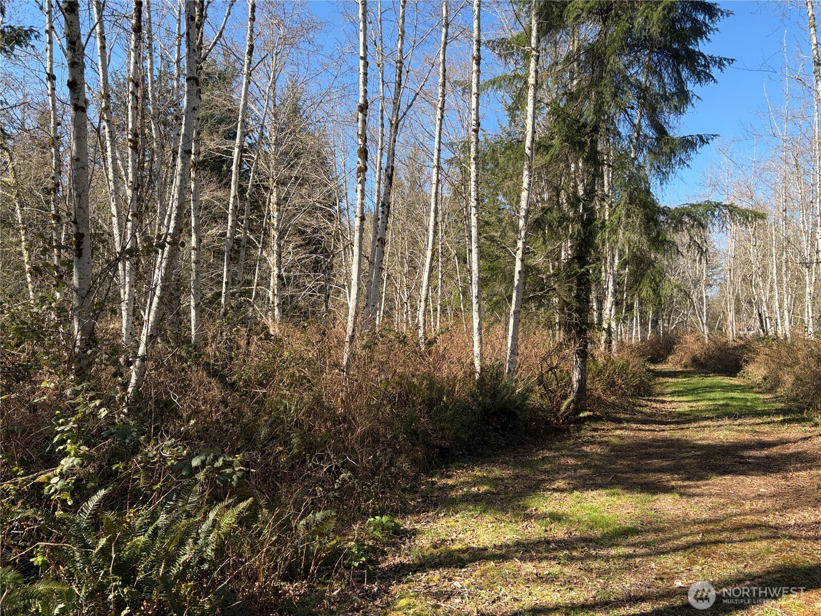 0 Blacktail Court , Quilcene, WA 98376