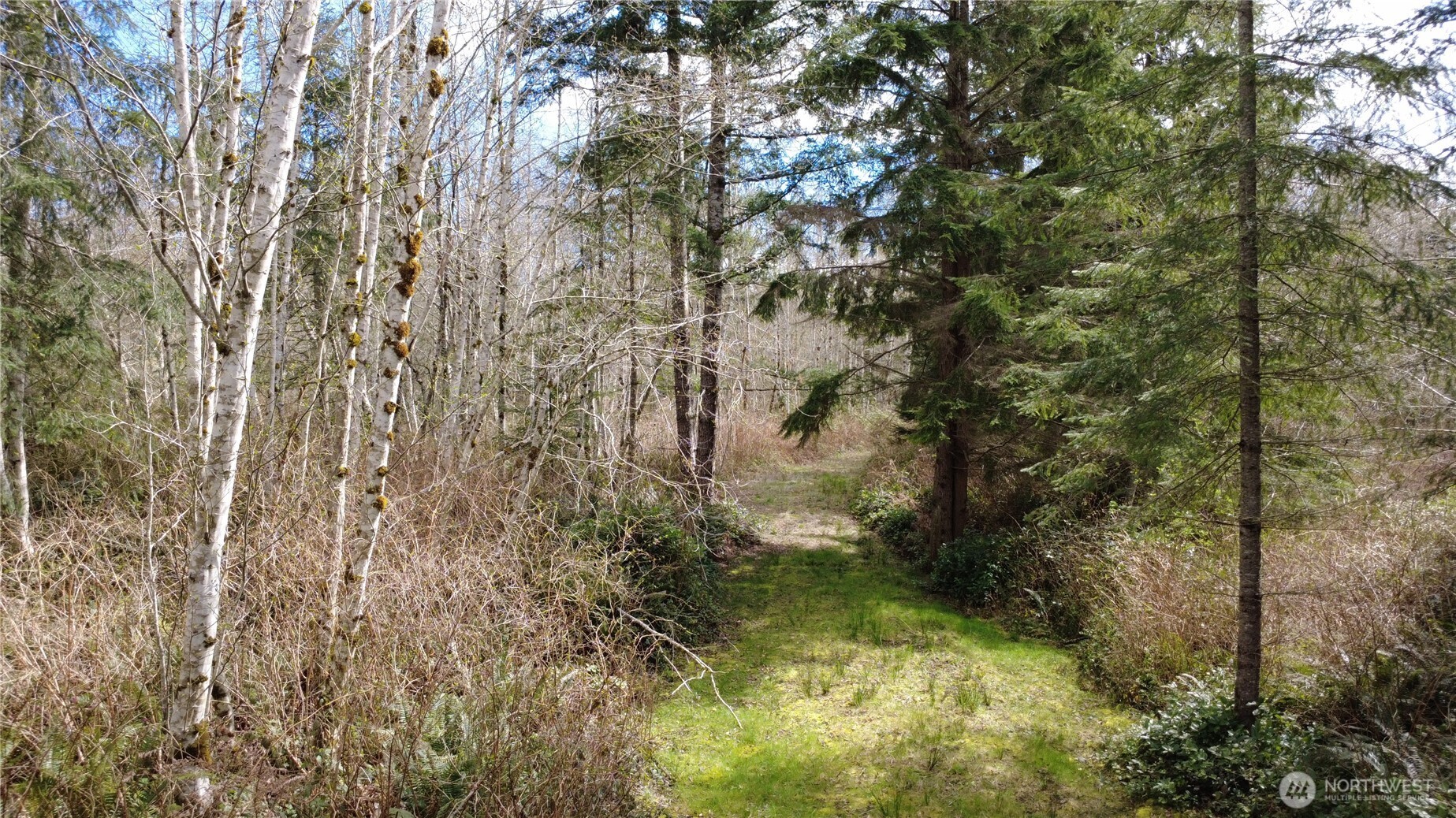0 Blacktail Court , Quilcene, WA 98376