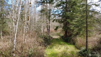 0 Blacktail Court , Quilcene, WA 98376 - Photo 12
