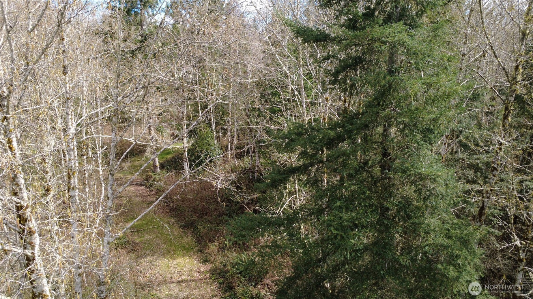 0 Blacktail Court , Quilcene, WA 98376