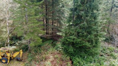 0 Blacktail Court , Quilcene, WA 98376 - Photo 14