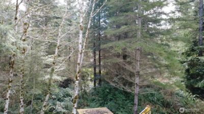 0 Blacktail Court , Quilcene, WA 98376 - Photo 15