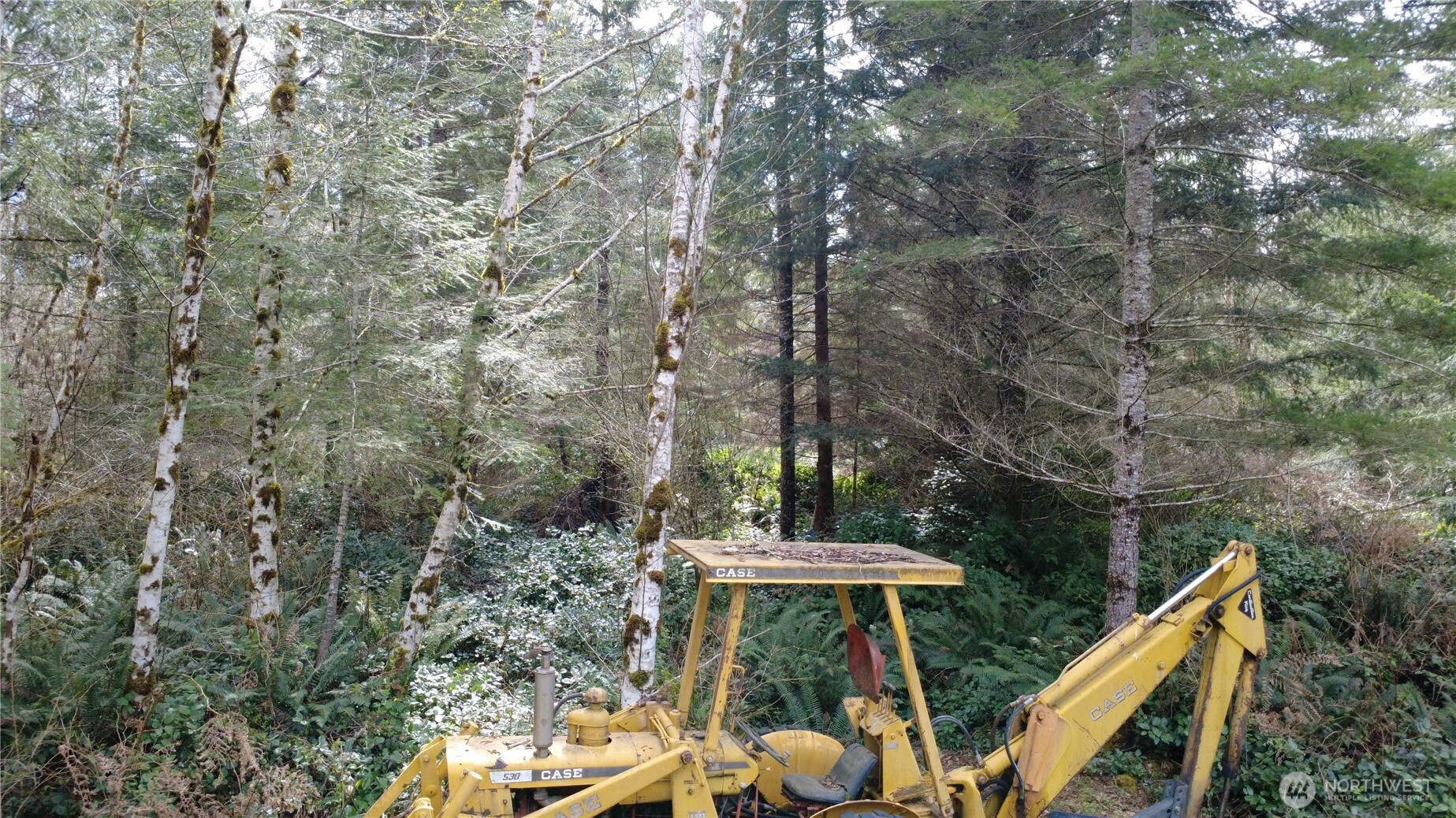 0 Blacktail Court , Quilcene, WA 98376