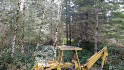 0 Blacktail Court , Quilcene, WA 98376 - Photo 16