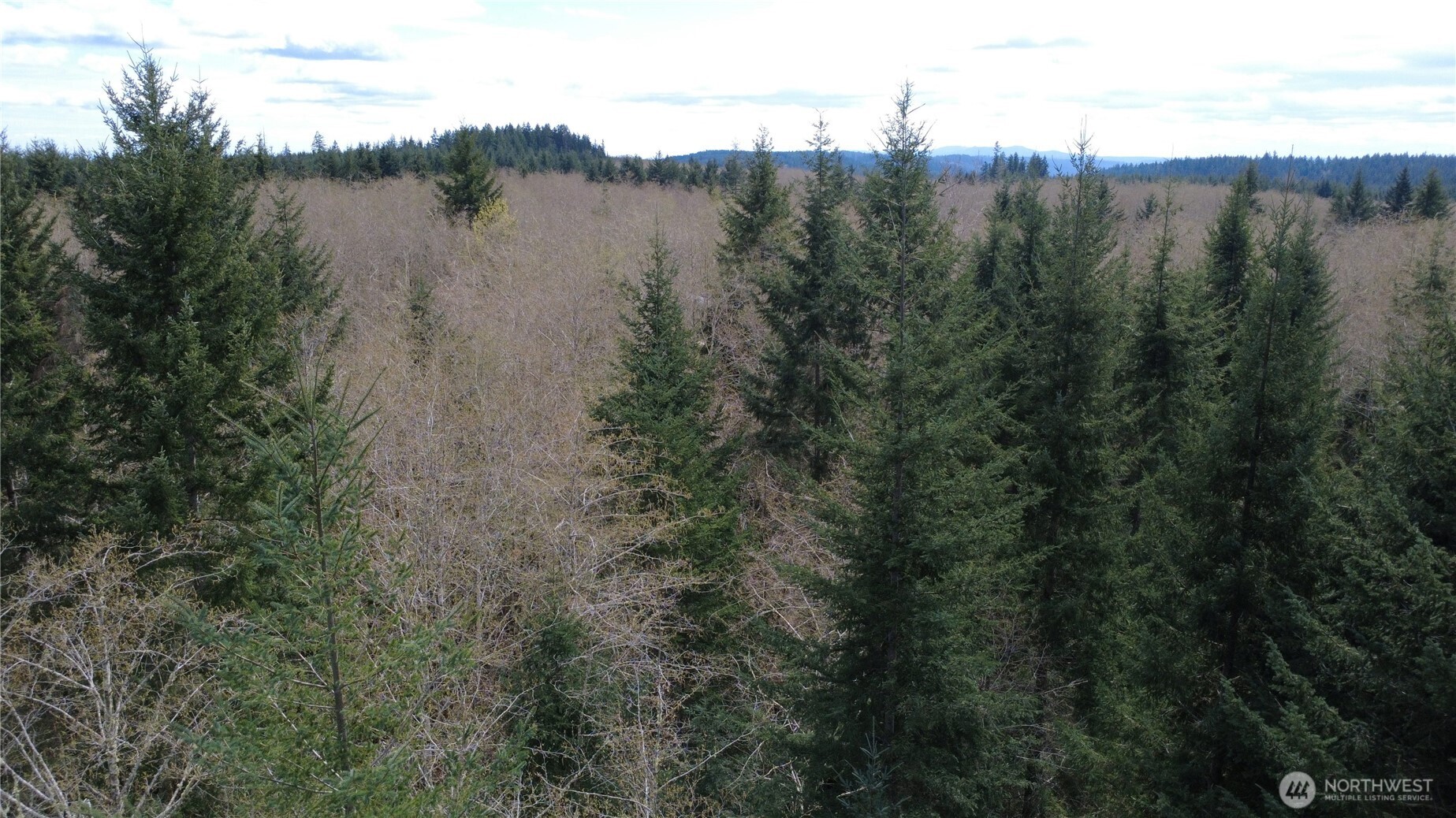 0 Blacktail Court , Quilcene, WA 98376