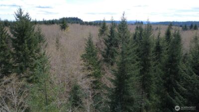 0 Blacktail Court , Quilcene, WA 98376 - Photo 17