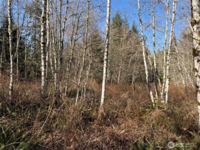 0 Blacktail Court , Quilcene, WA 98376 - Photo 18