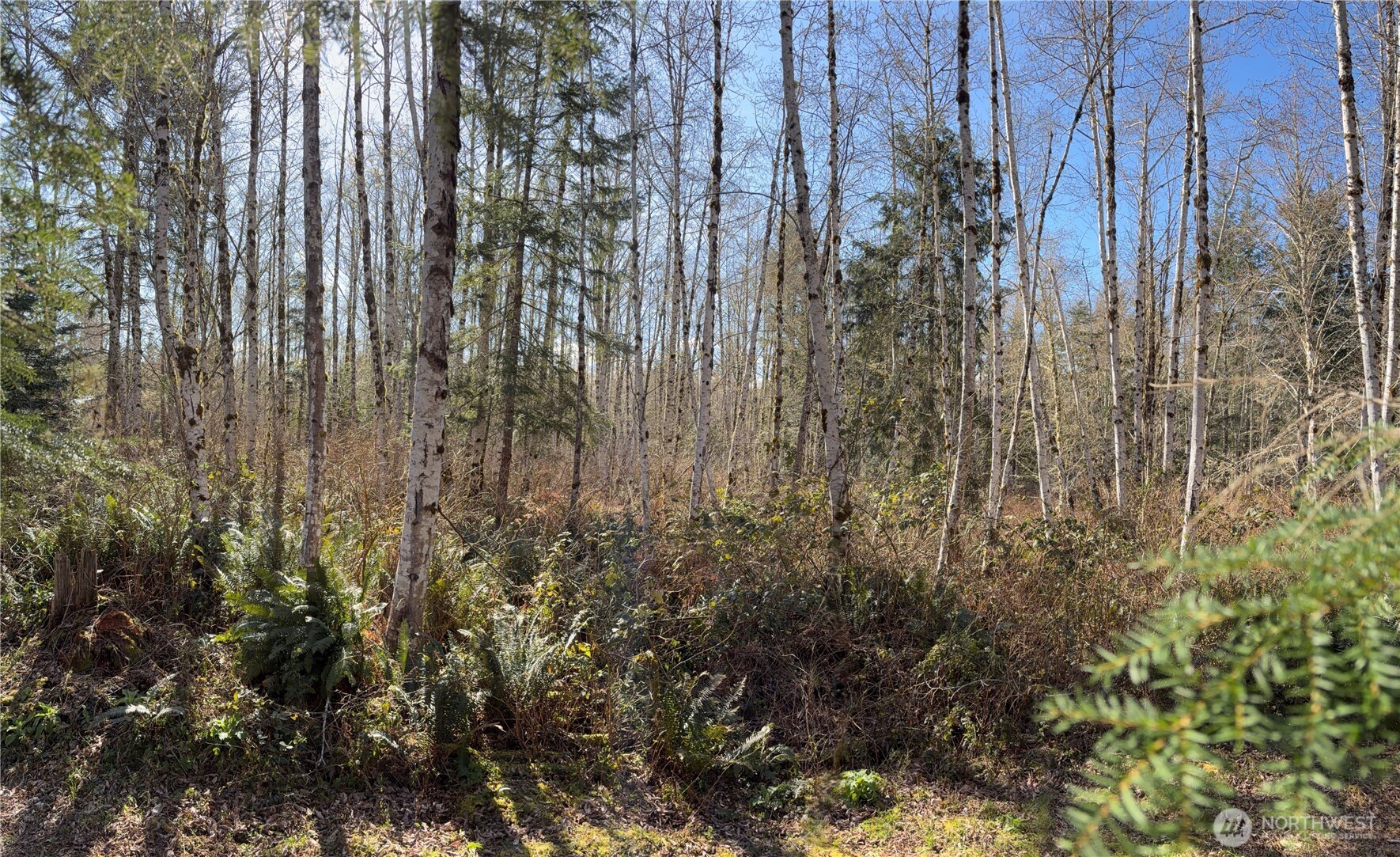 0 Blacktail Court , Quilcene, WA 98376