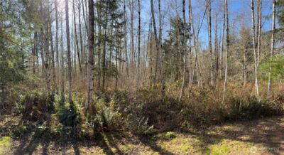0 Blacktail Court , Quilcene, WA 98376 - Photo 20