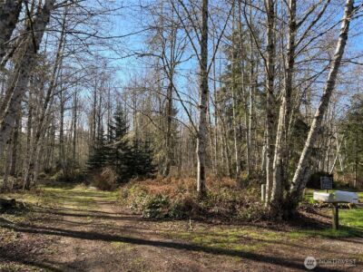 0 Blacktail Court , Quilcene, WA 98376 - Photo 2